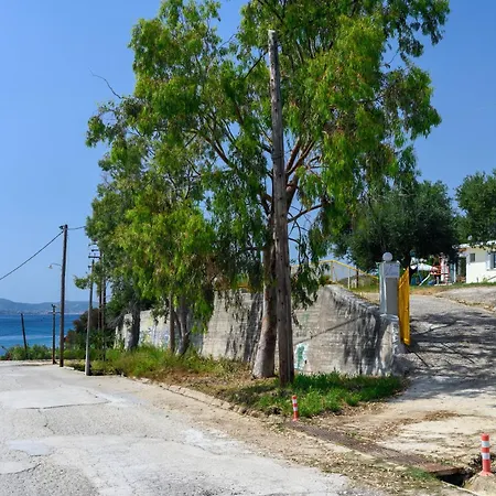 Lilian Just Steps From The